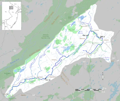 2020 09 21 forest and flows fig1