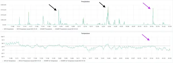 Precipitation and temperature time series over winter event