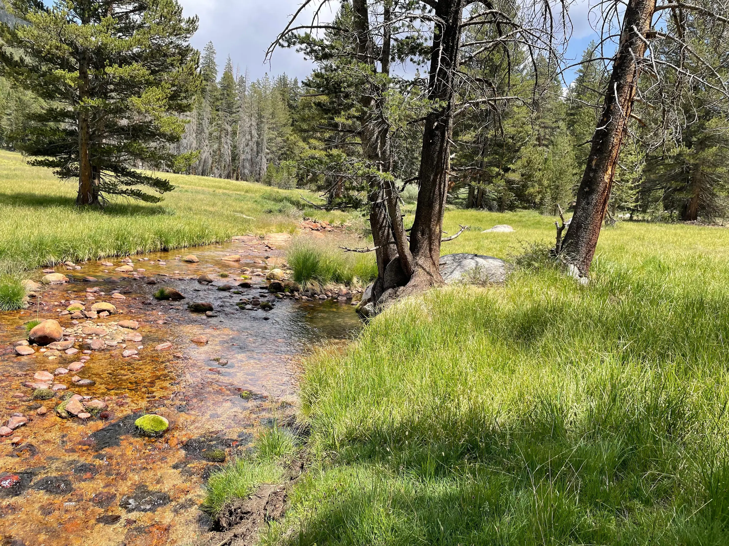 Developing tools to model impaired streamflow in streams throughout California