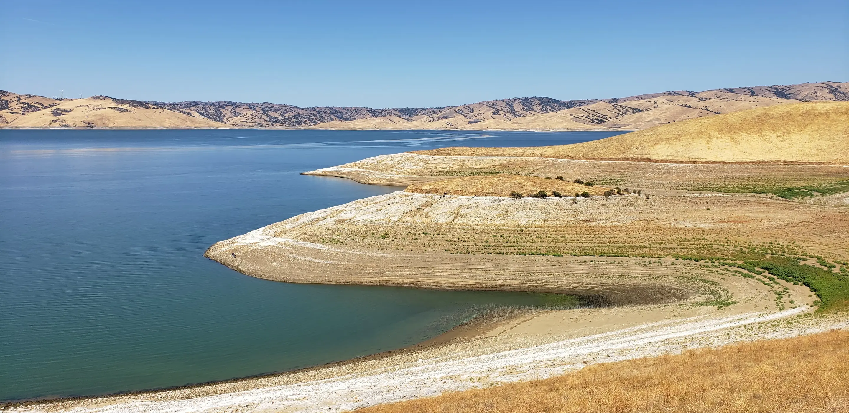 Understanding the ebbs and flows of California's water markets