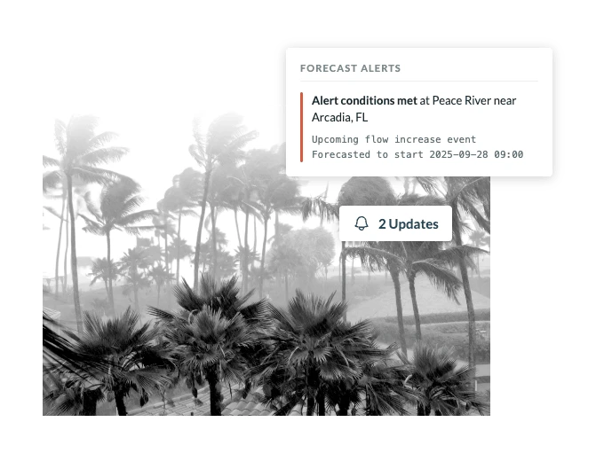 Storm with palm trees bending in wind alongside a HydroForecast peak flow prediction chart
