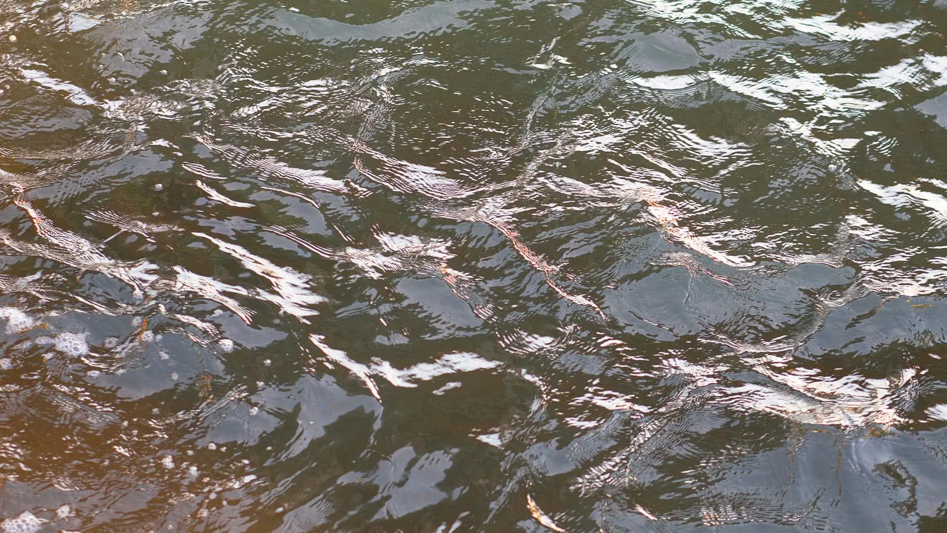 A guide for new machine learning and hydrology enthusiasts