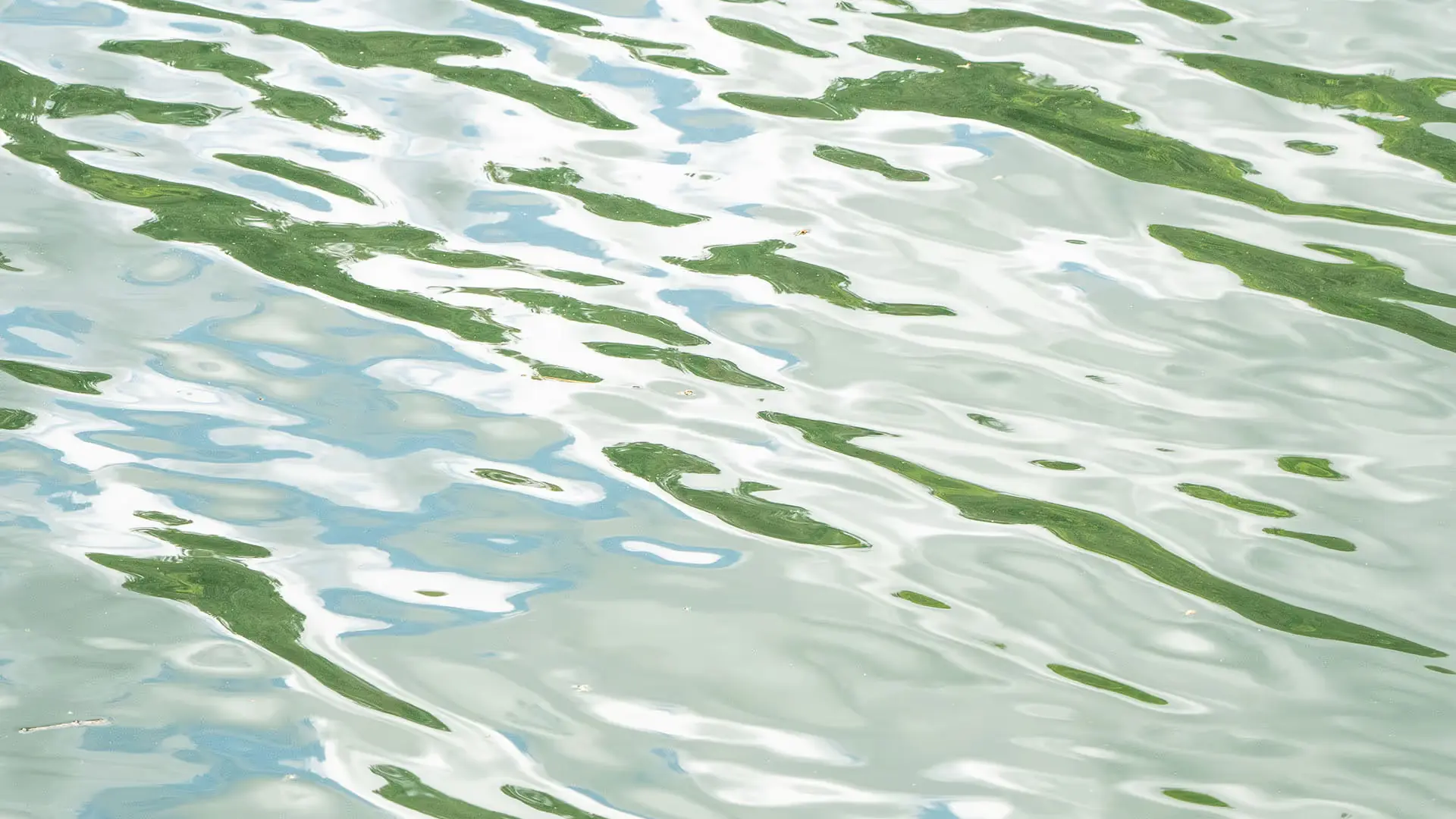 The latest with HydroForecast: June 2023