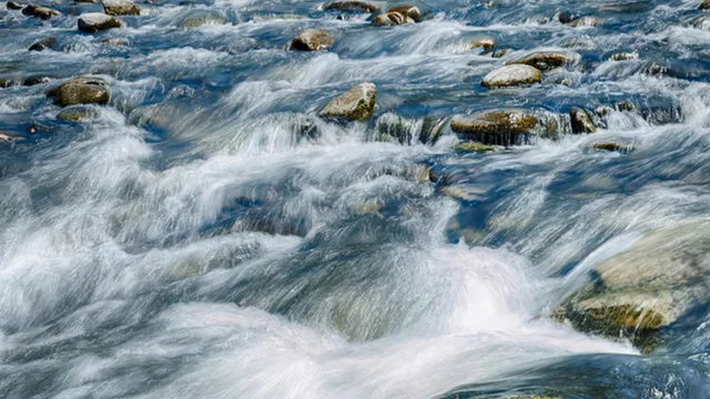 Demystifying AI streamflow forecasting