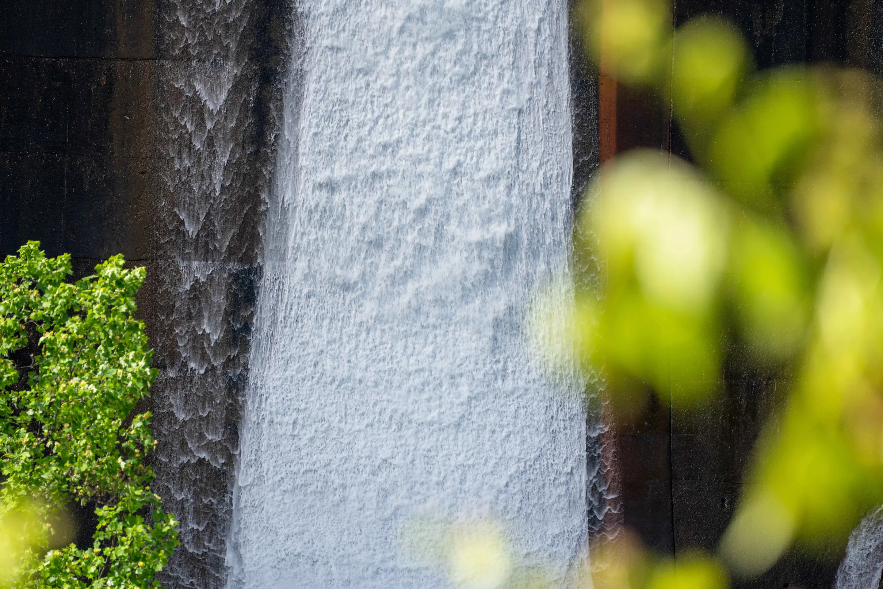 Celebrating hydropower's role in a 100% renewable grid