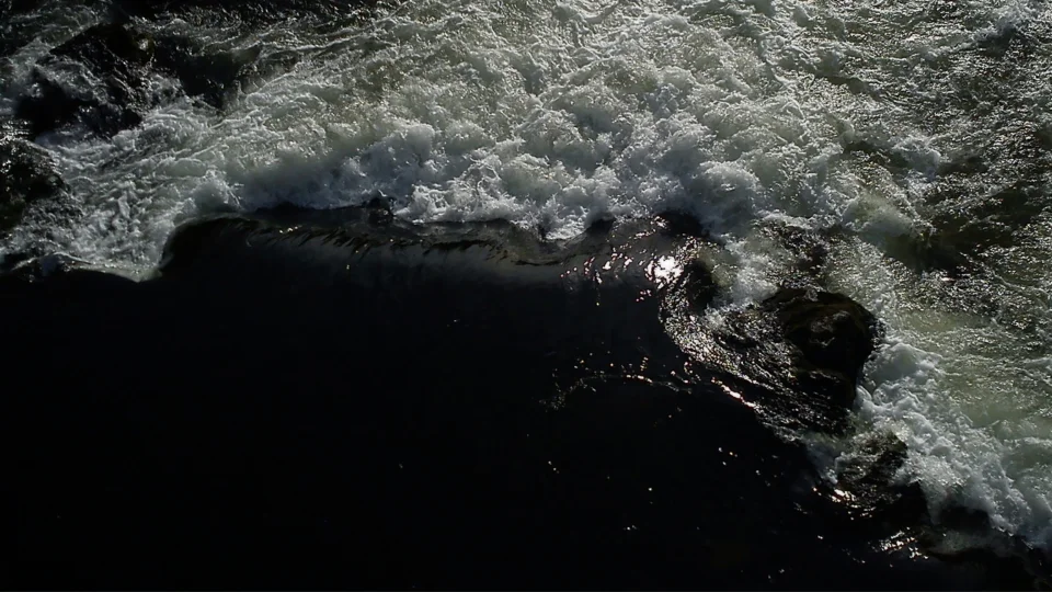New joint research with WWF and Rhodes University colleagues accepted into Journal of Hydrology